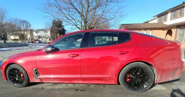 Stinger - Winter Tires.webp