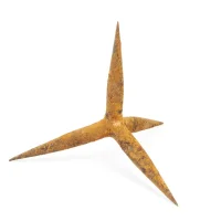 caltrop.jpg