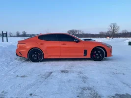 Stinger 3.jpg