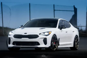 stinger stance sf07.webp