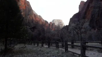 DSCF0414.webp