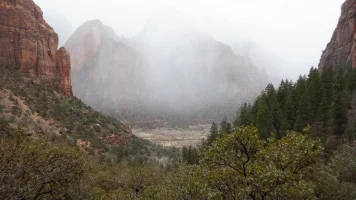 DSCF0433.webp