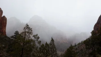 DSCF0434.webp