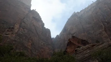 DSCF0439.webp