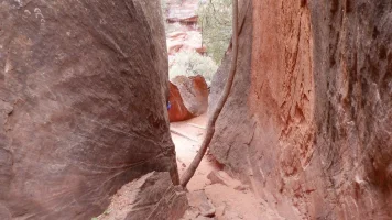 DSCF0443.webp