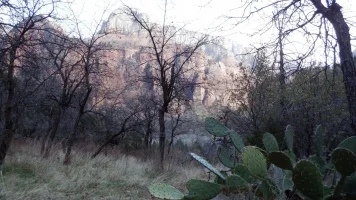 DSCF0452.webp