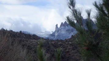 DSCF0460.webp