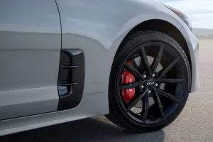 1615955677706.webp 1615955677706.webp