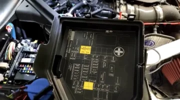 59E2C64C-D169-4346-9337-1F29AC654290.jpeg 59E2C64C-D169-4346-9337-1F29AC654290.jpeg