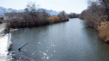 DSCF0501.webp