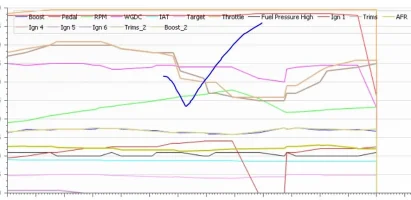 trail.webp trail.webp