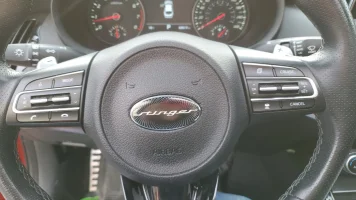 Stinger - Steering Overlay.webp