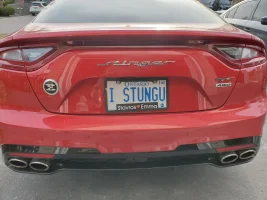 Stinger - E Badge.webp