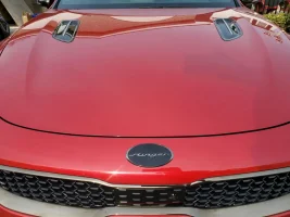 Stinger - Front Badge.webp