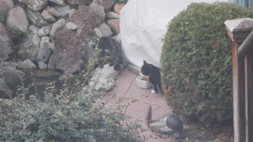 DSCF0531.webp DSCF0531.webp