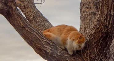 50-50.webp 50-50.webp