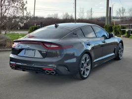 Stinger3.jpg