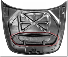 seibon under hood.webp