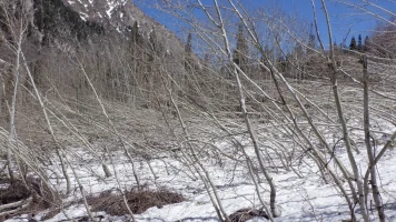 DSCF0675.webp