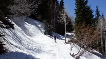 DSCF0677.webp
