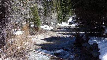 DSCF0685.webp