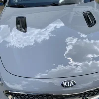 Shiny hood.webp