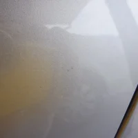 DSCF0788.webp