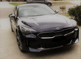 Stinger Front.webp