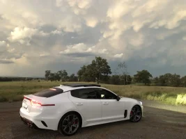 Stinger 2.webp