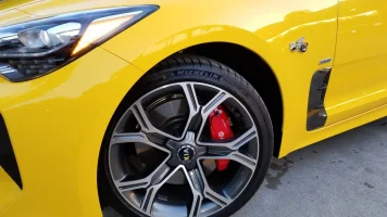 stinger bee.webp