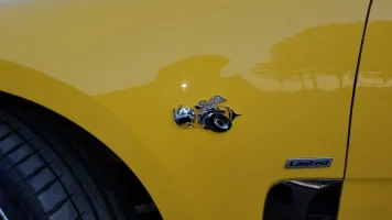 stinger bee closeup.webp