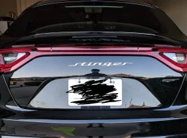 stinger.webp