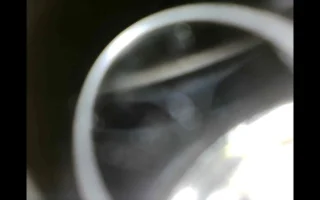 Exhaust Valve.webp