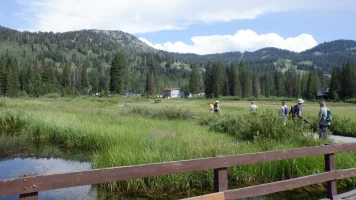 DSCF0832.webp