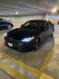 Stinger in the garage.webp