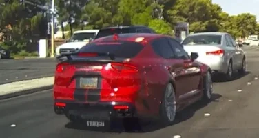 other-stinger.jpg