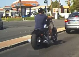 bike.webp