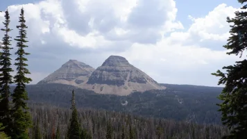 DSCF0844.webp