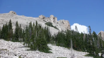 DSCF0847.webp