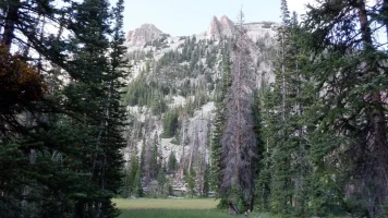 DSCF0850.webp