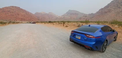 Stinger.jpg