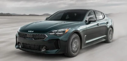 stinger ascot green moving.jpeg