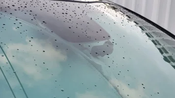 20210903_185816.jpg 20210903_185816.jpg