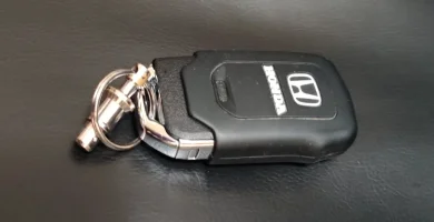 1631396439454.png 1631396439454.png