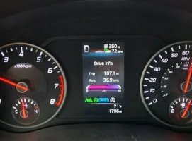 stinger 369 mpg.webp