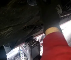 1631651388397.webp