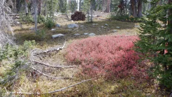DSCF0956.webp