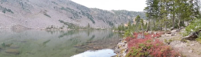 DSCF0970.webp