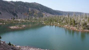 DSCF0979.webp