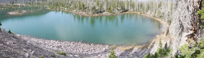 DSCF0982.webp